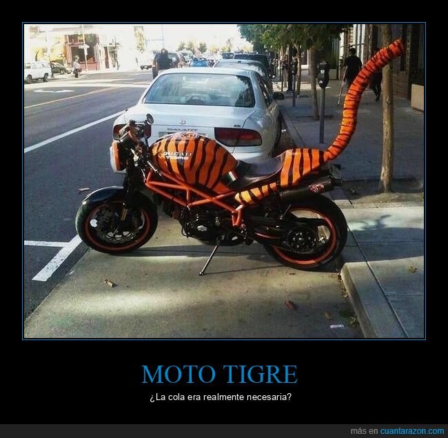 moto,tigre,cola