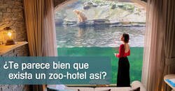 Enlace a El «mejor zoo» de Europa tiene suites en las que pasar la noche rodeados por animales salvajes