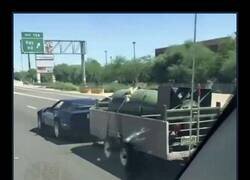 Enlace a De camino a comenzar un holocausto nuclear