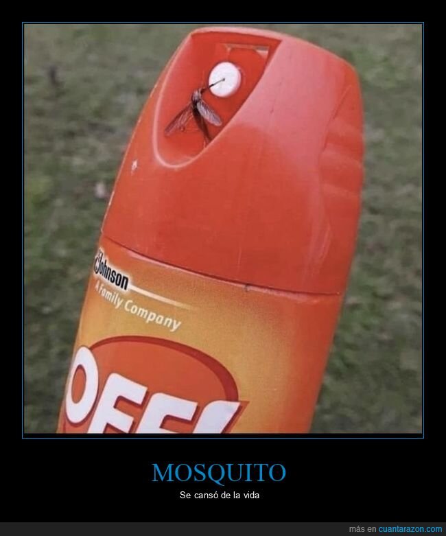 insecticida,mosquito,wtf
