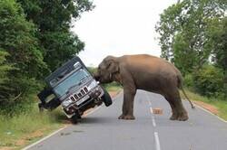 Enlace a Están en su territorio