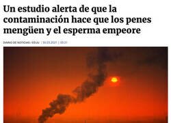 Enlace a Malas noticias 