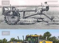 Enlace a Un siglo después