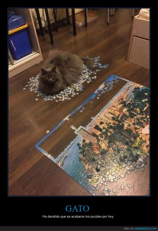 gato,puzzle