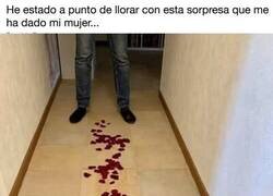 Enlace a Su mujer le prepara un camino de pétalos de rosa pero la sorpresa final no se la esperaba