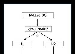 Enlace a Qué fácil es manipular