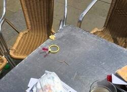 Enlace a La gente no tiene vergüenza ni nada