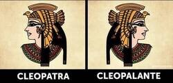 Enlace a Cleo pa tra y Cleo pa lante