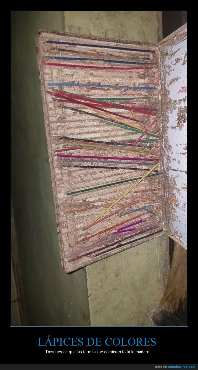 lápices de colores,termitas,madera,wtf