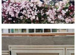 Enlace a Divertidas obras de arte urbano incorporadas a las calles de París, por OakOak