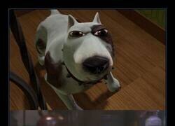 Enlace a 24 años de evolución