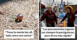 Enlace a Formas muy sutiles y educadas de describir la falta de inteligencia