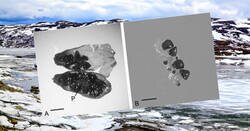 Enlace a Reviven una semilla de 32.000 años de antigüedad que estaba congelada en el permafrost