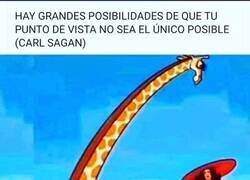 Enlace a Es más que probable