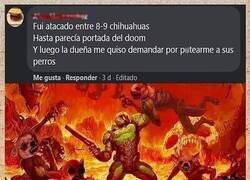 Enlace a El ataque de los chihuahuas