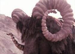 Enlace a Detrás de las cámaras