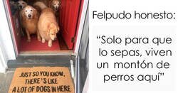 Enlace a Felpudos muy entretenidos vistos por los invitados