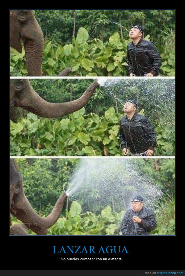 elefante,agua,trompa