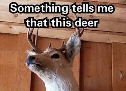 Enlace a Con denominación de origen