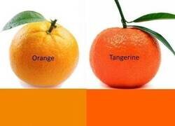 Enlace a Demasiado tarde para enmendar este error