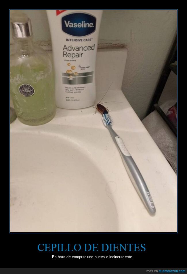 cepillo de dientes,cucaracha,asco