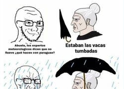 Enlace a Sabiduría de abuela