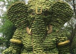 Enlace a En honor al dios hindú