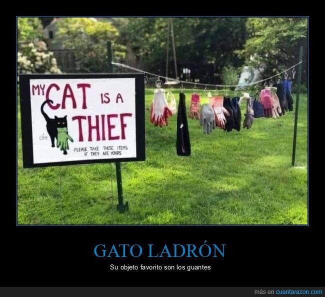 gato,ladrón,guantes,carteles