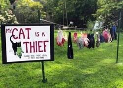 Enlace a Recuperando objetos robados por el ladrón felino