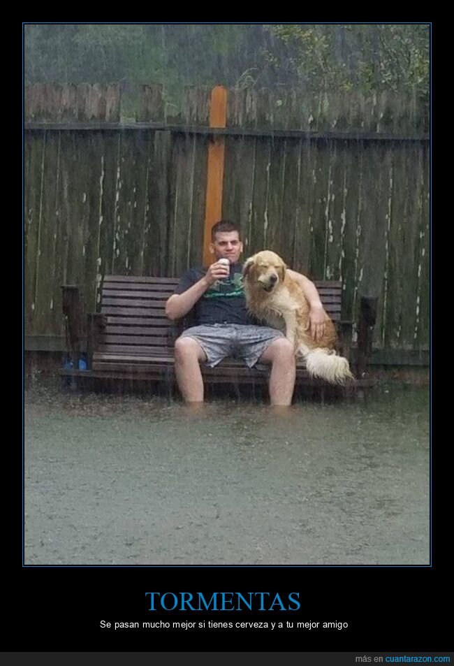 tormenta,cerveza,perro,inundación