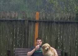 Enlace a Mal tiempo en buena compañía