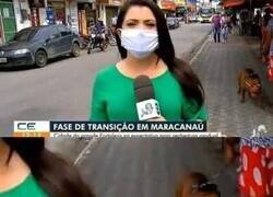 Enlace a El auténtico protagonista