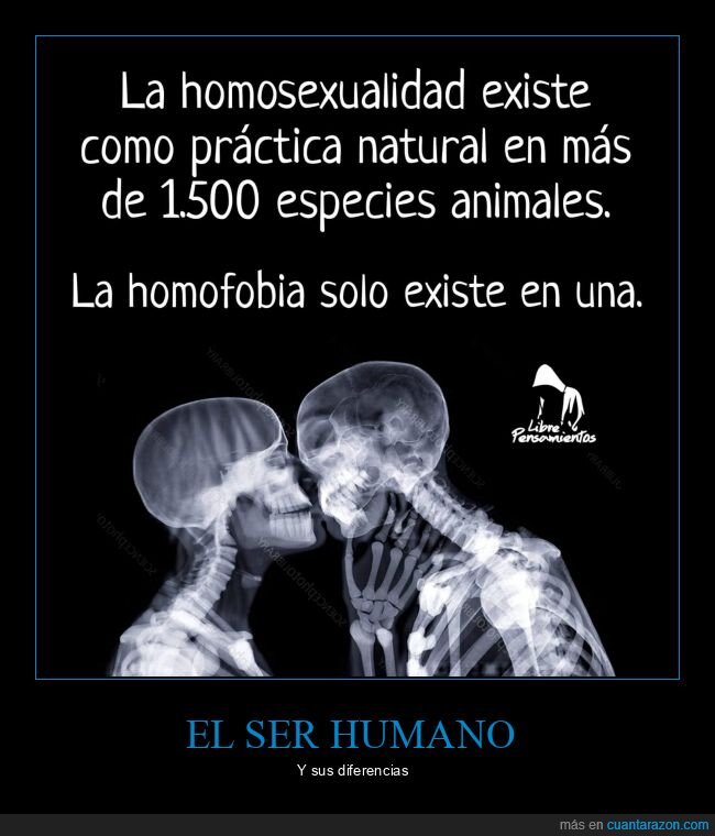 ser humano,homofobia