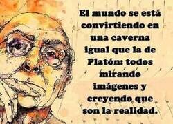 Enlace a Platón tenía razón