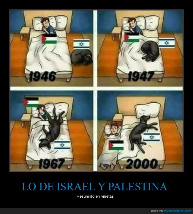 cama,israel,palestina,perros