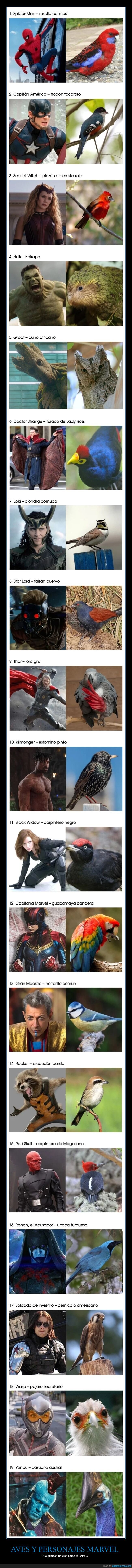 aves,personajes marvel,parecidos