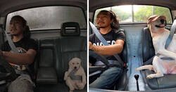 Enlace a Imágenes reconfortantes por si te sientes deprimido