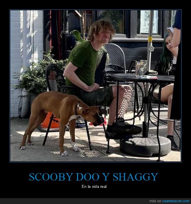scooby doo,shaggy,parecidos