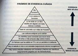 Enlace a Evidencias cuñadas