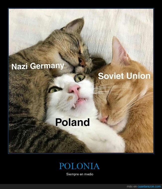 alemania,nazis,unión soviética,polonia,gatos