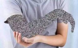 Enlace a Brazo dormido