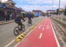 Enlace a La madre que los parió...