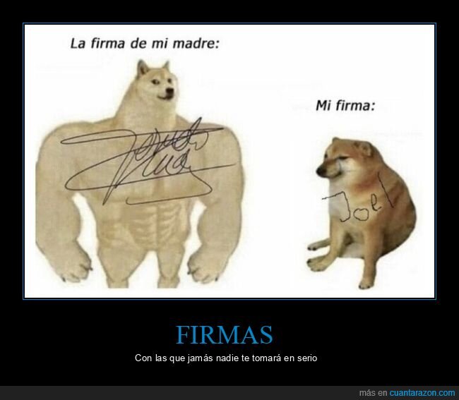 doge y cheems,firma,padres