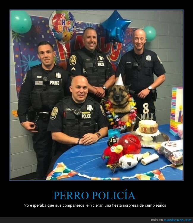 perro,policía,fiesta,cumpleaños