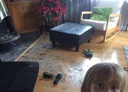 Enlace a No se les puede dejar solos...