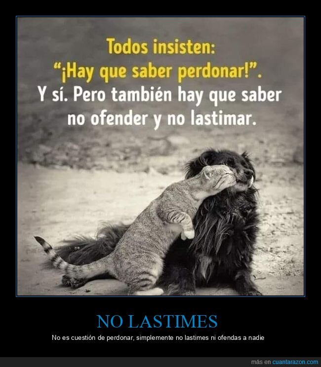 perdonar,ofender