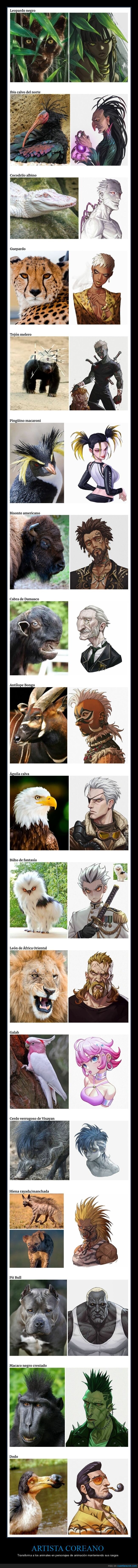 animales,personajes,anime