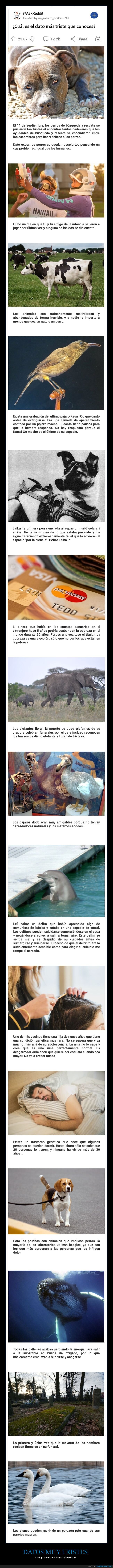 datos,tristes,curiosidades