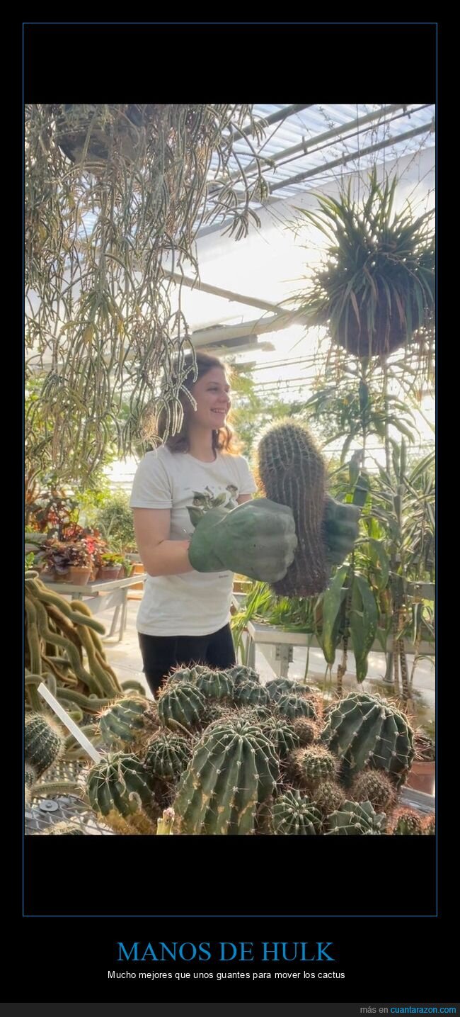 manos de hulk,guantes,cactus