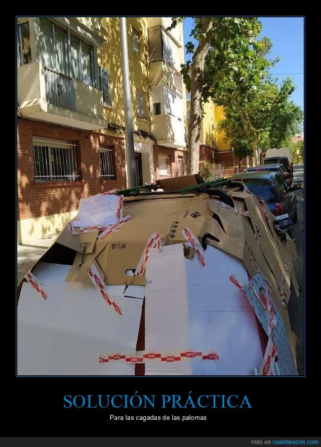 cagadas,cartones,coches,palomas,wtf